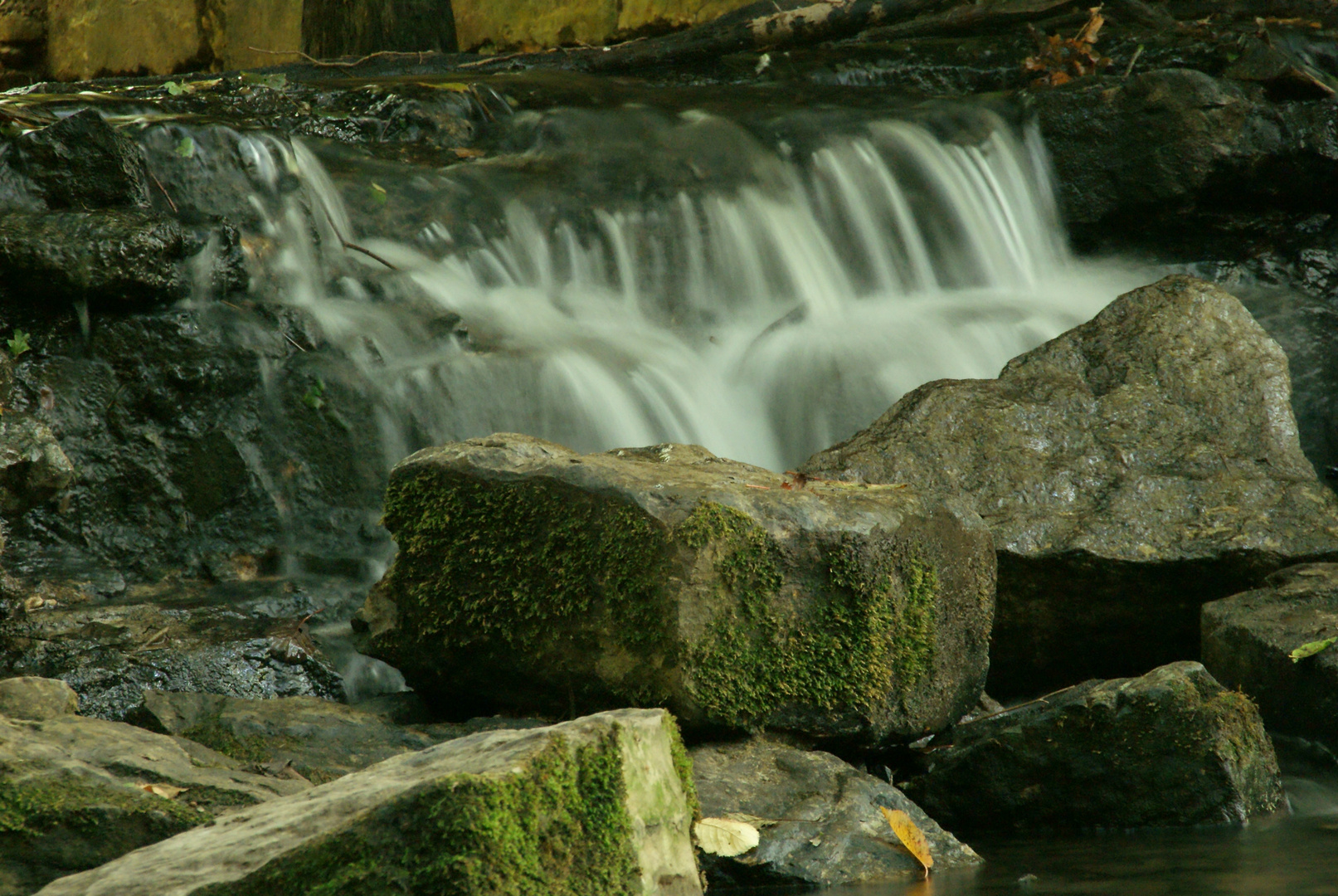 Water Impressions