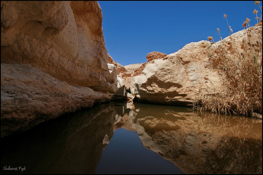 Water in the Negev desert