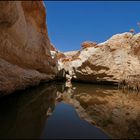 Water in the Negev desert