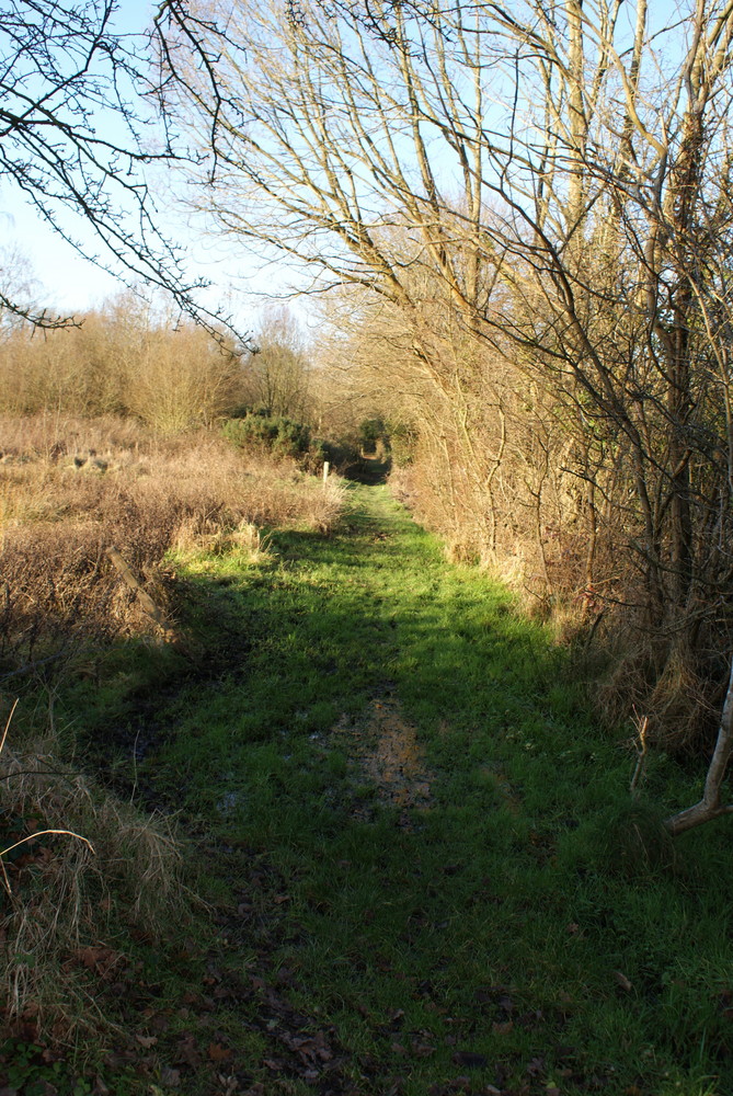 Water logged path