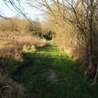 Water logged path