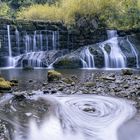 Water meets forest.