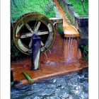Water Mill (Azores)
