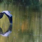 Water Mirror