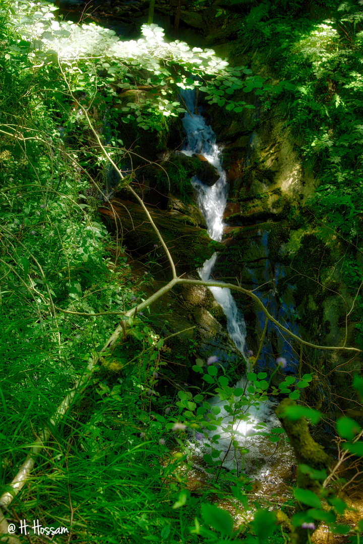 Water & Nature 