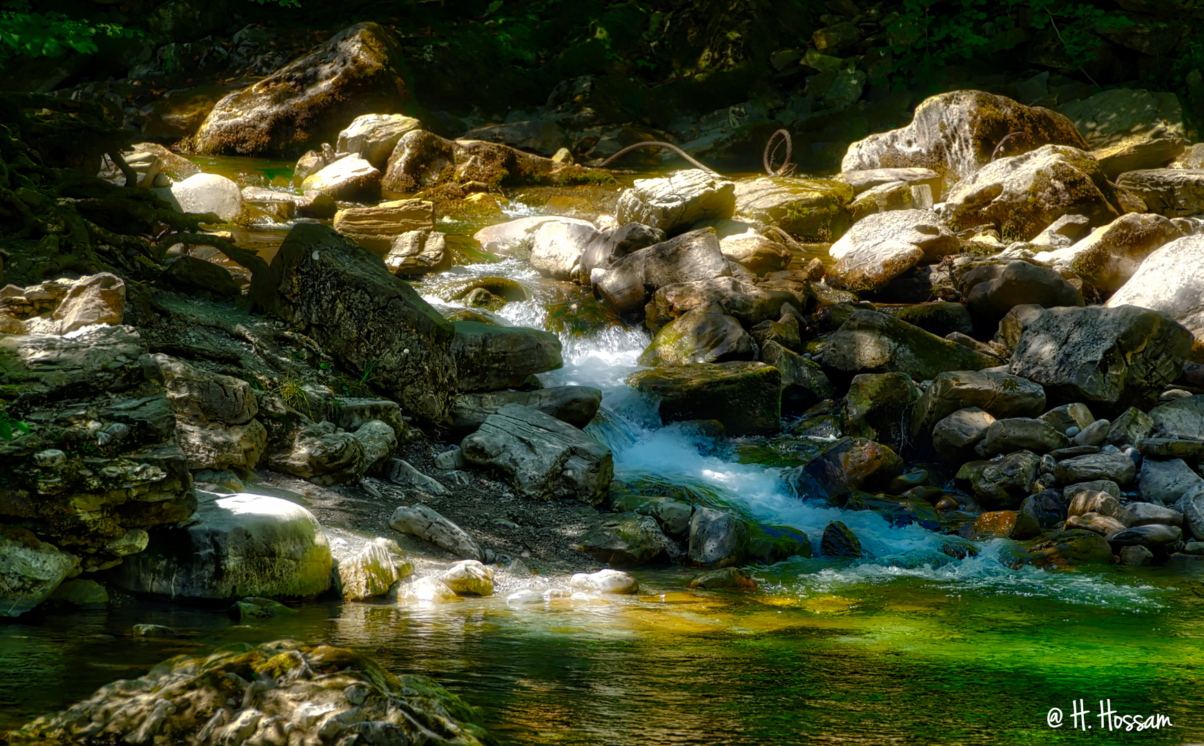 Water & Nature 