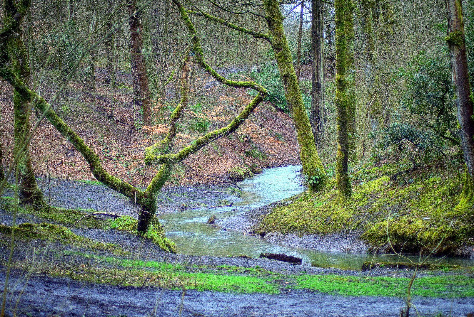 Water nice scene