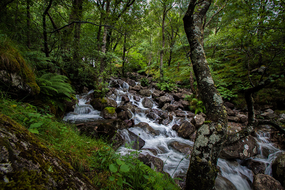 Water of Nevis