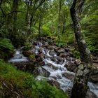 Water of Nevis