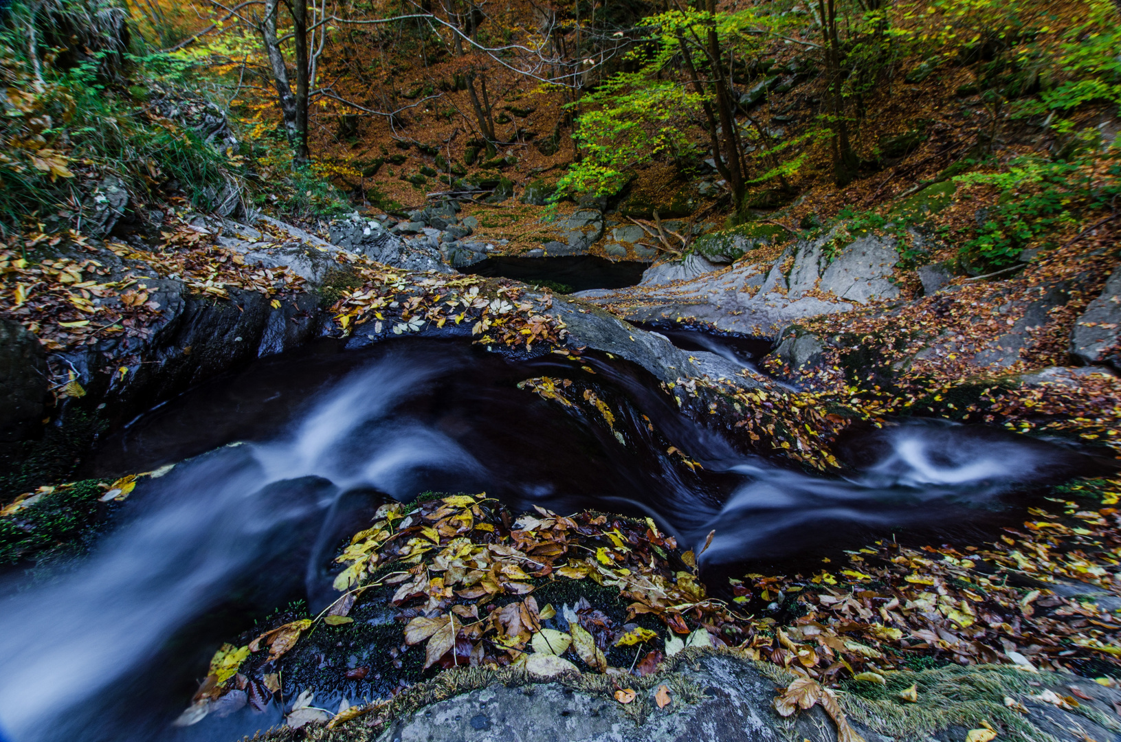 Water path