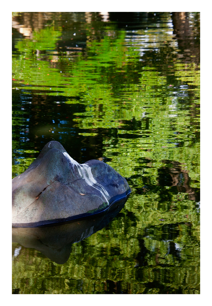 Water reflection