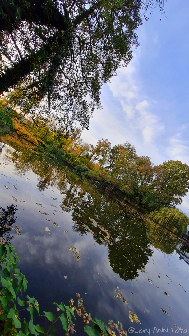 Water reflection 