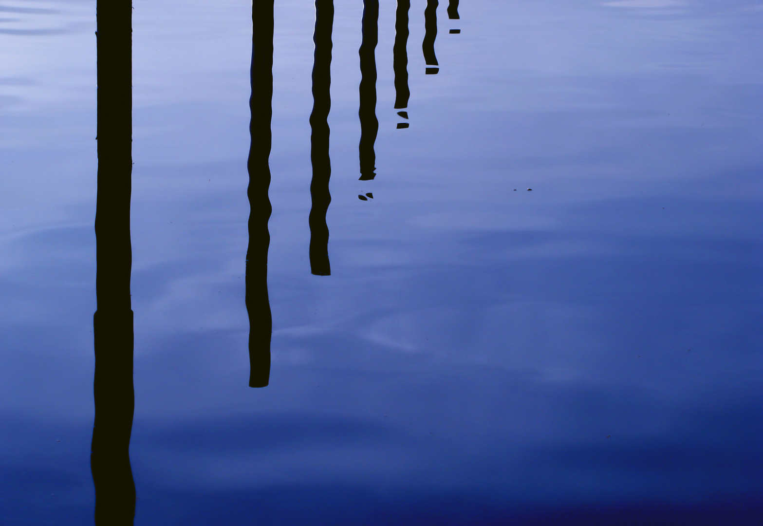 Water Reflections