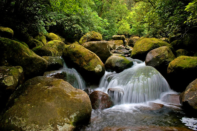 Water Rock On