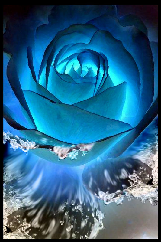 WATER ROSE