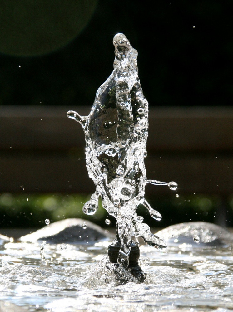 Water Sculpture