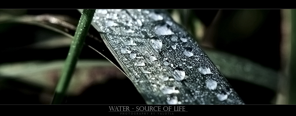 Water - Source of Life