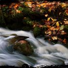 Water - stone and autumn.