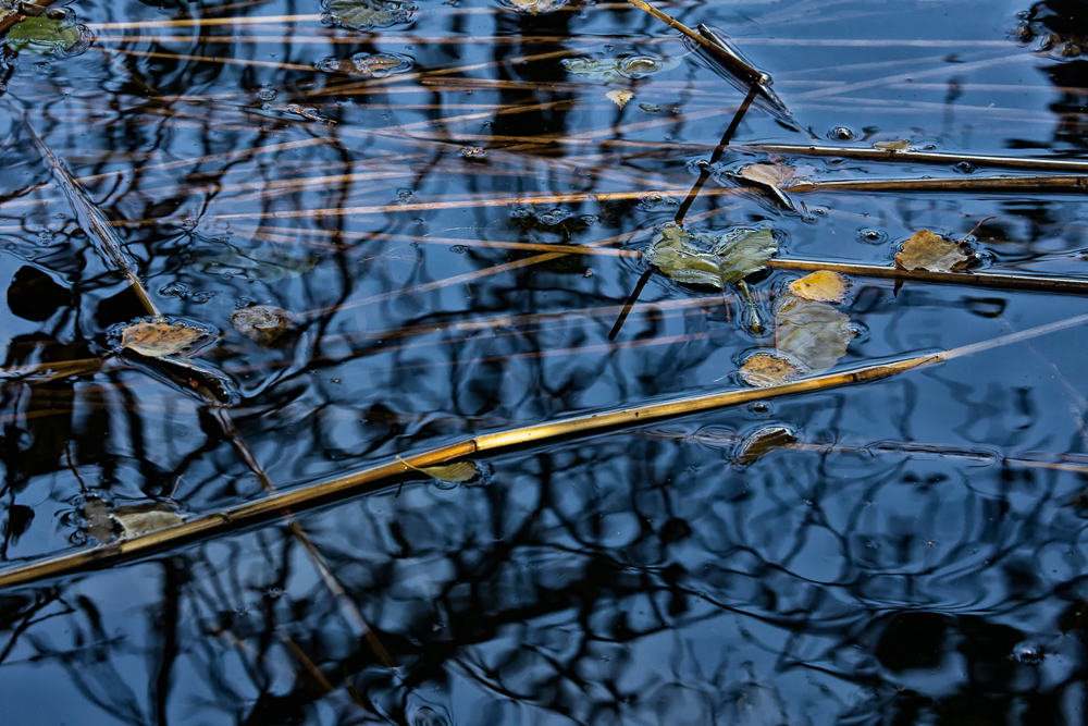 water surface tension