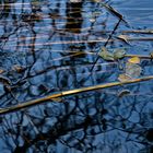 water surface tension