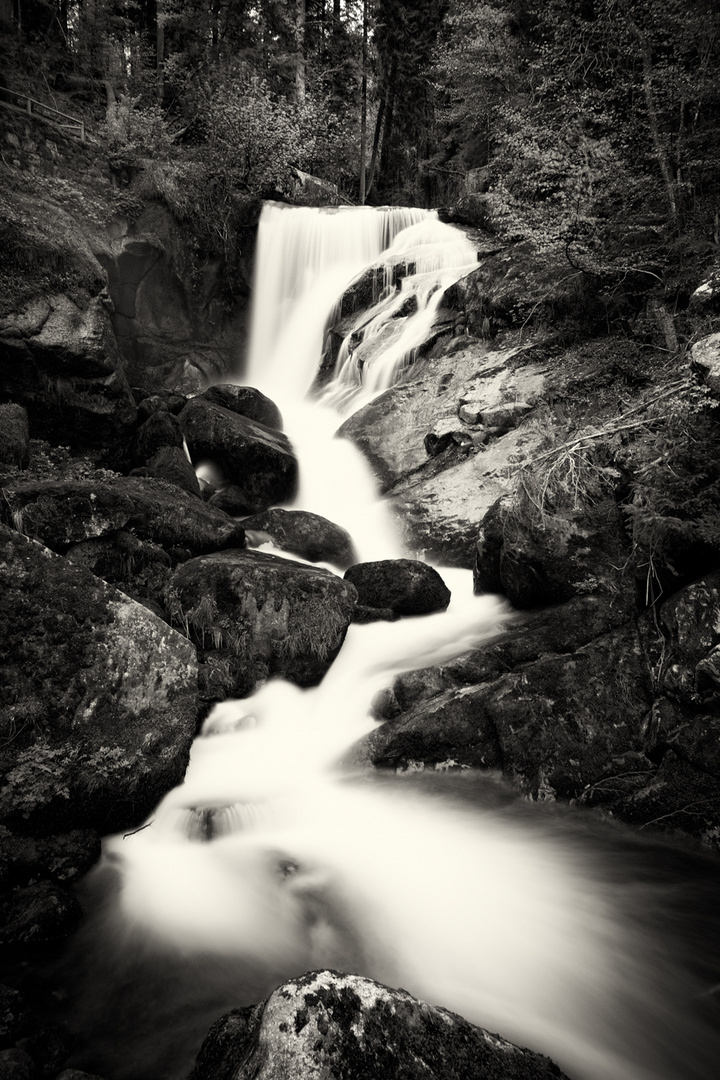 Water trail