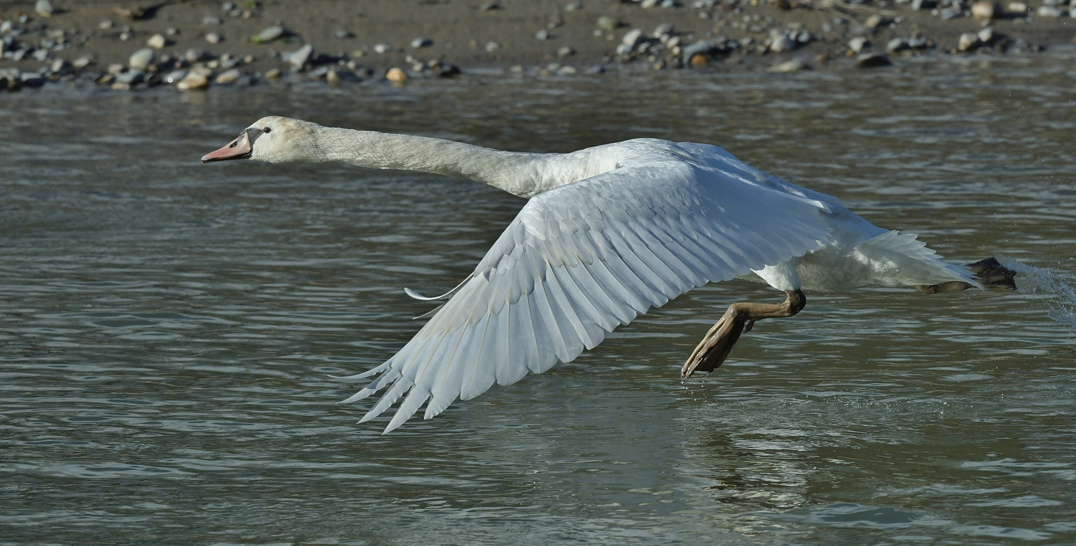 Water Walking