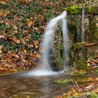 Water wheel