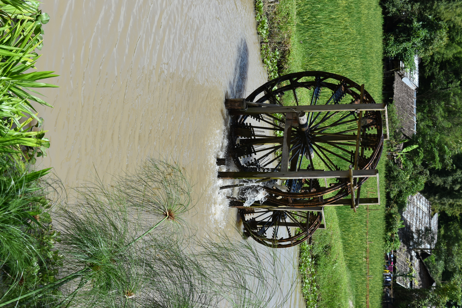 water wheel