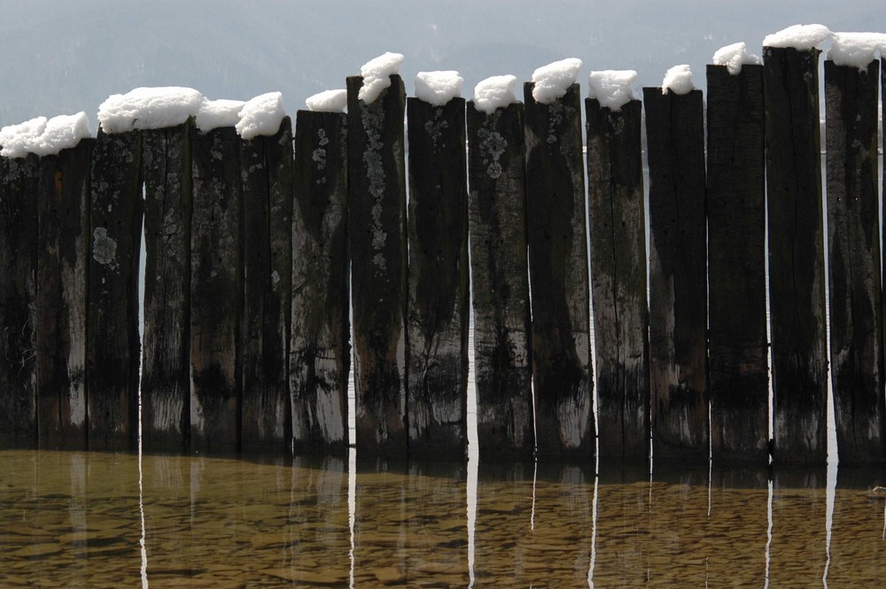 Water, Wood and Snow