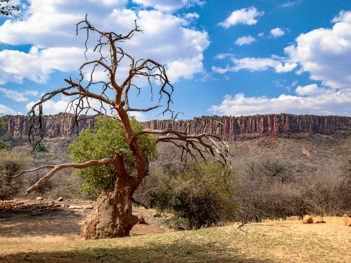 Waterberg