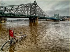 "Waterbike" am Blauen Wunder