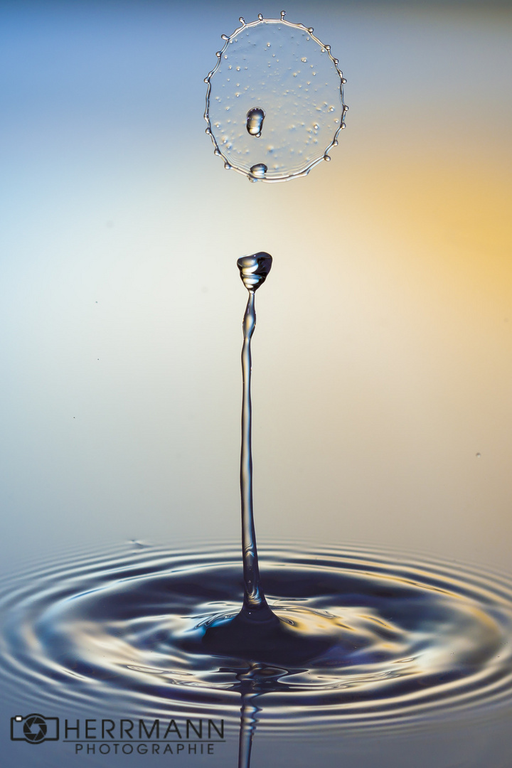 Waterdrop