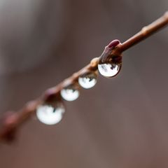 Waterdrop #3