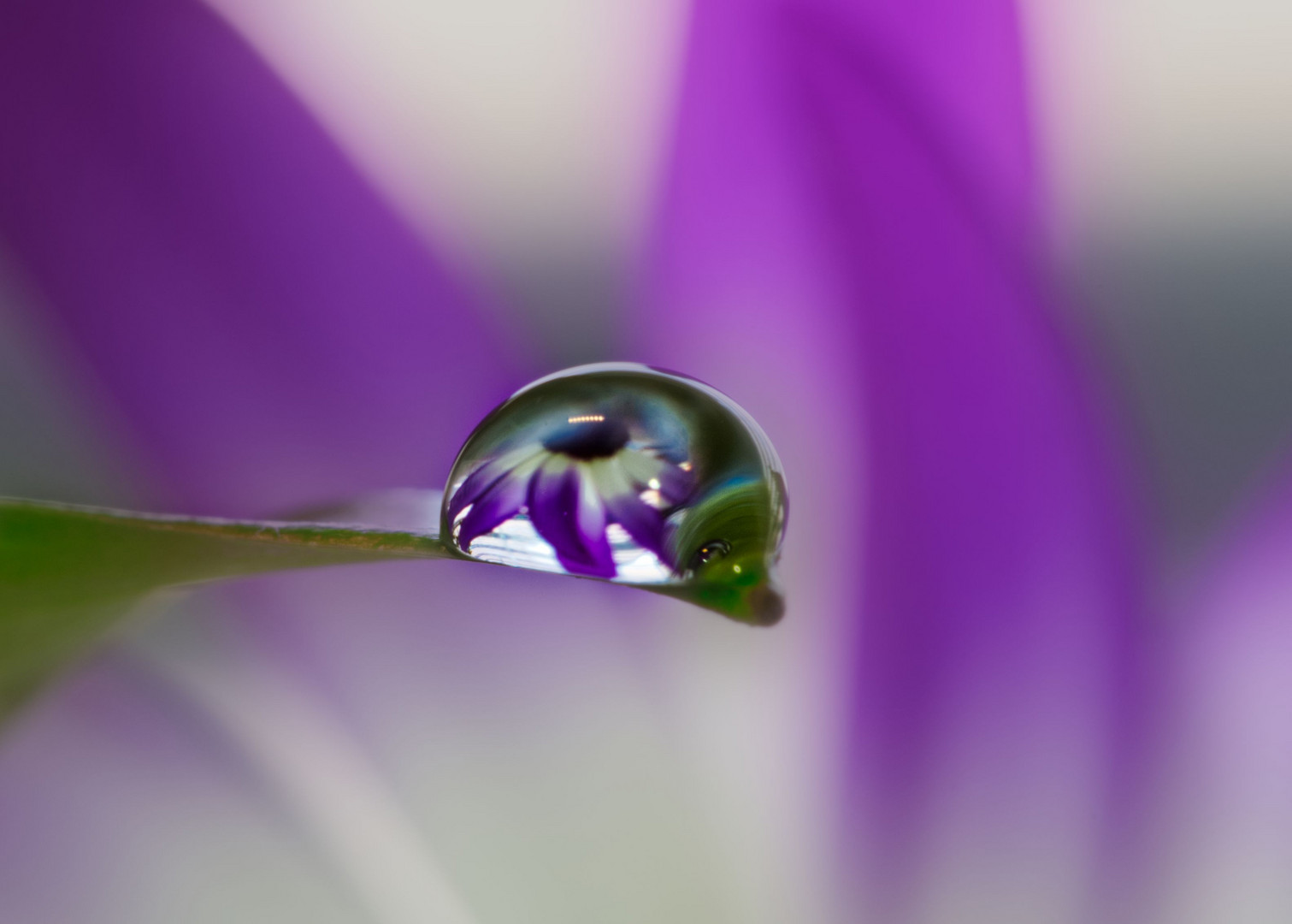 Waterdrop