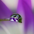 Waterdrop