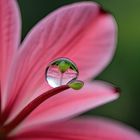 Waterdrop-4