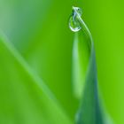 Waterdrop