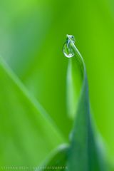 Waterdrop