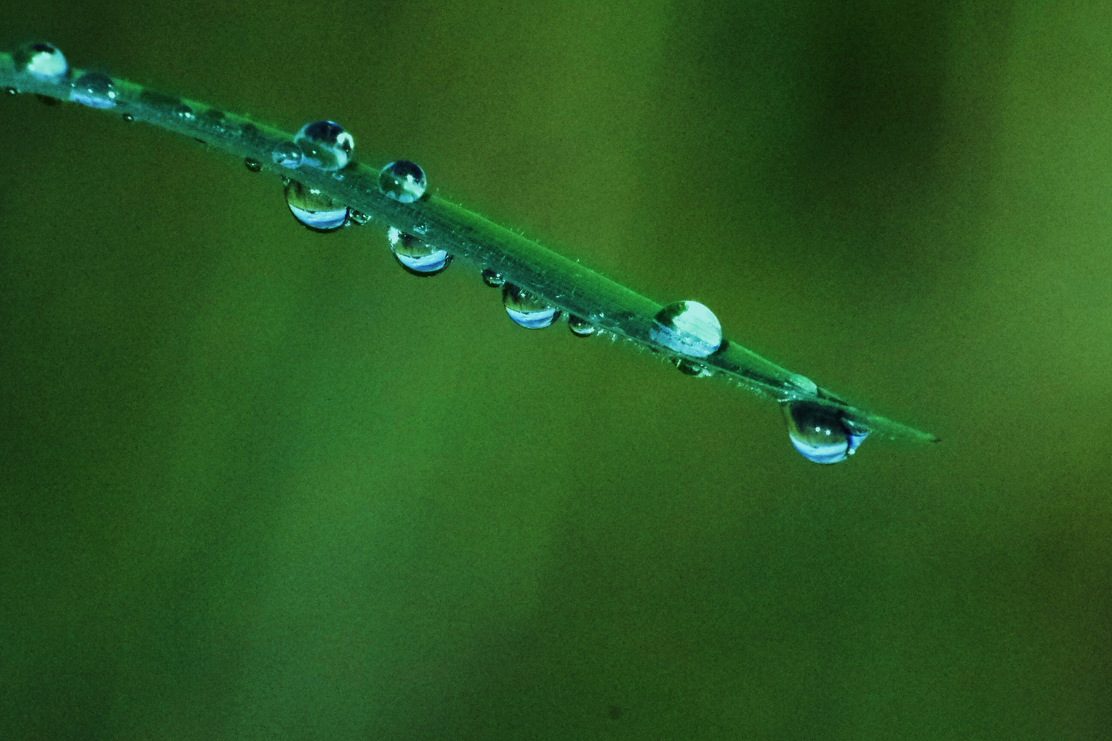 Waterdrop