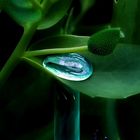 waterdrop and pillar of glass