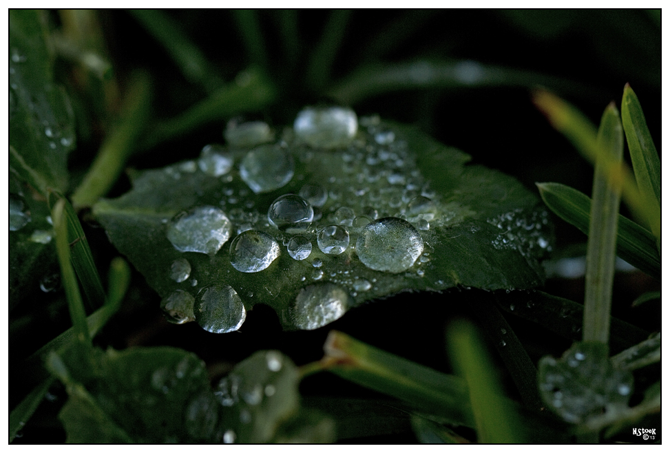 waterdrops