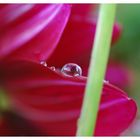 waterdrops 2.