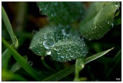 waterdrops