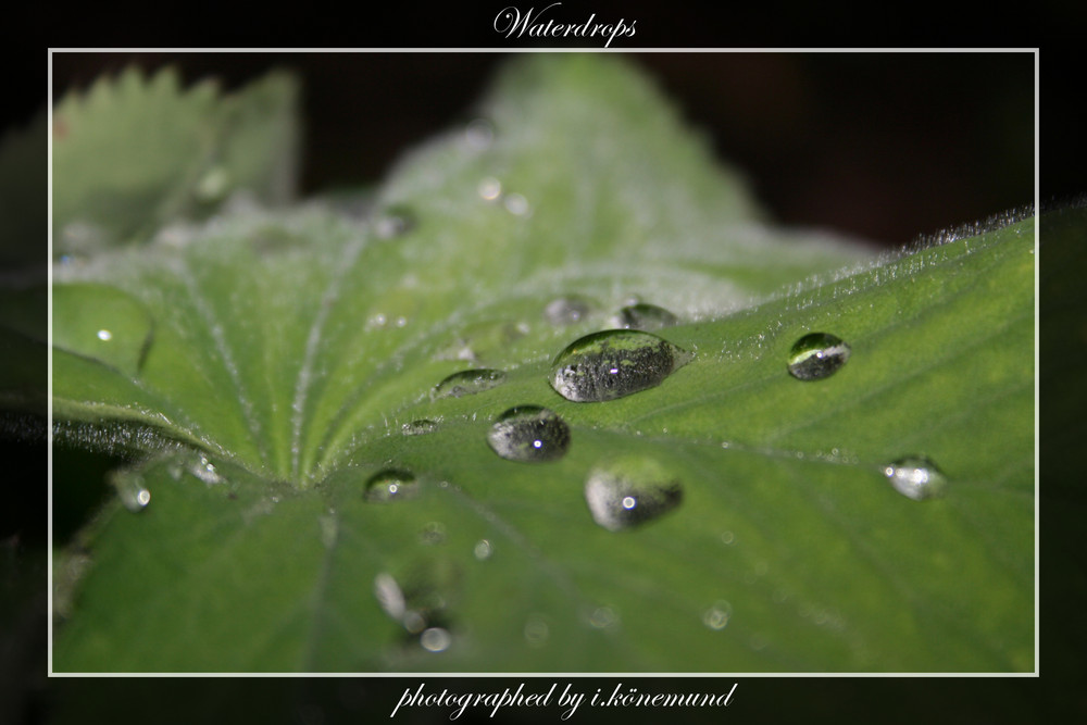 Waterdrops