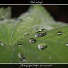 Waterdrops