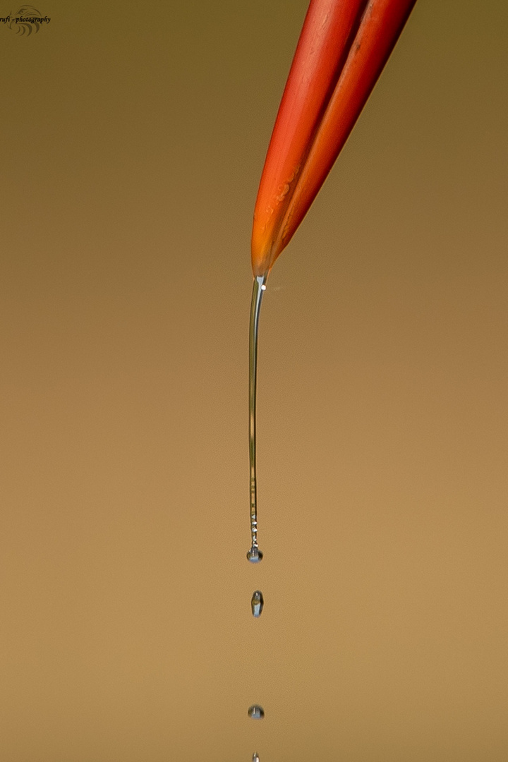 Waterdrops