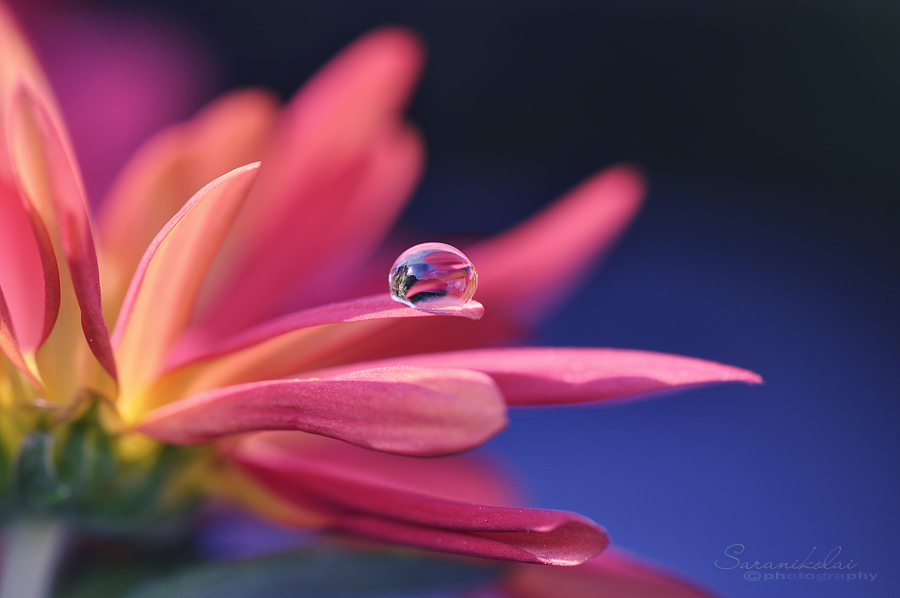 Waterdrops