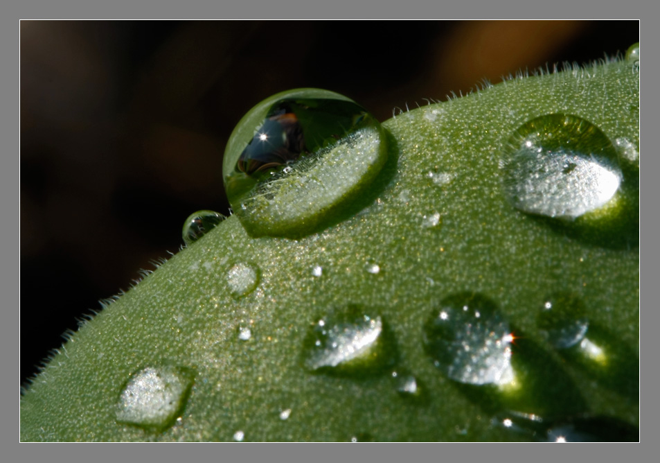 Waterdrops