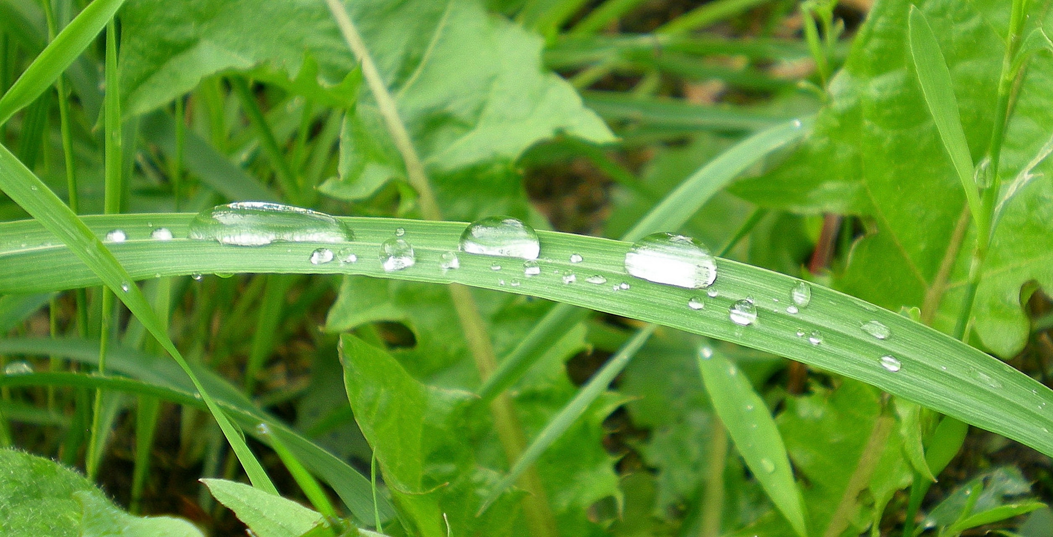 waterdrops