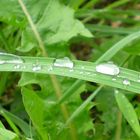 waterdrops